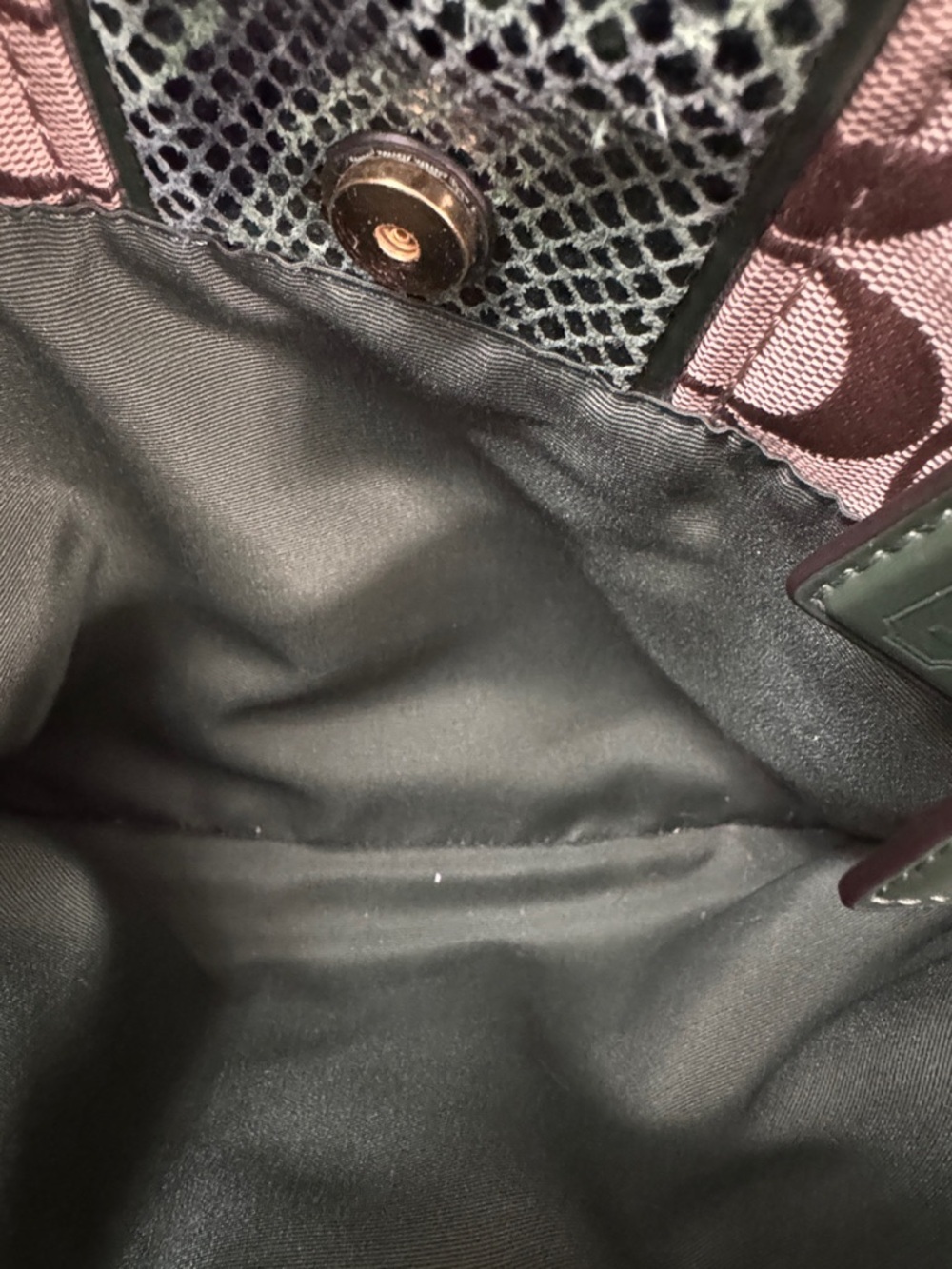 Coach Brown Signature Tote with Dark Green Python F25706 - Picture 4 of 15